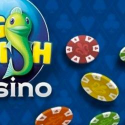 Big Fish Casino Settlement: What You Need to Know